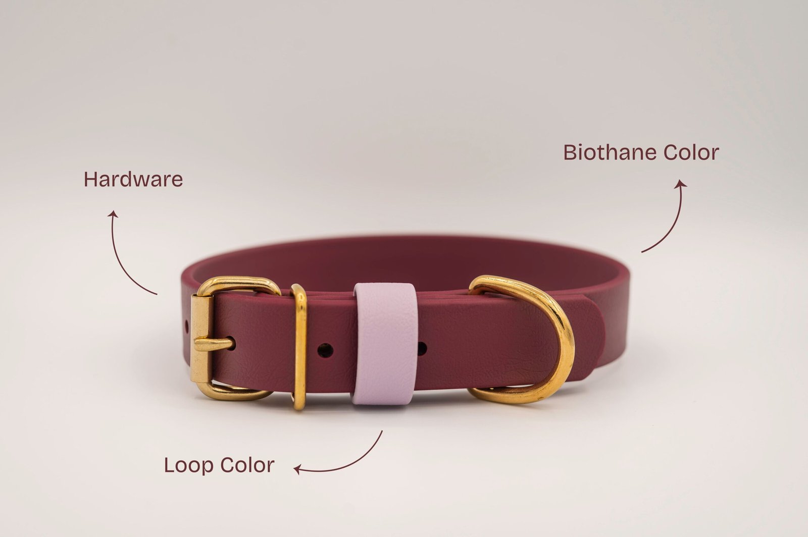 Classic Collar - Image 4