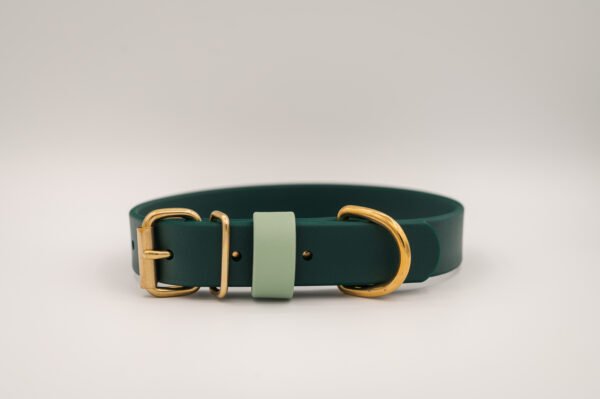 Classic Collar