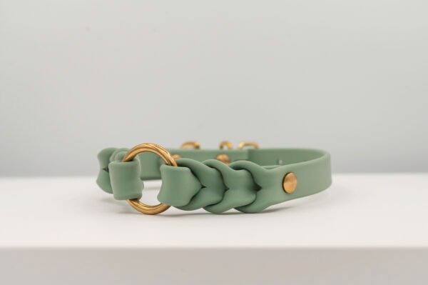 Braided Hunting Collar