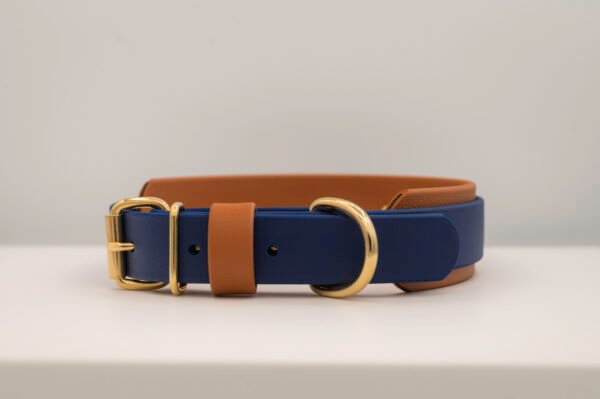 Double Layer Collar
