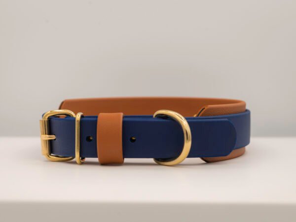Double Layer Collar