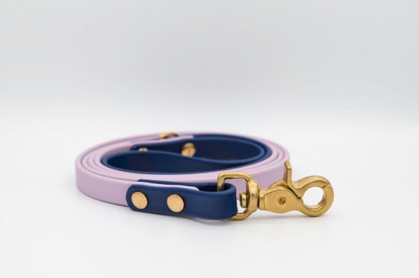 Two-Tone Leash