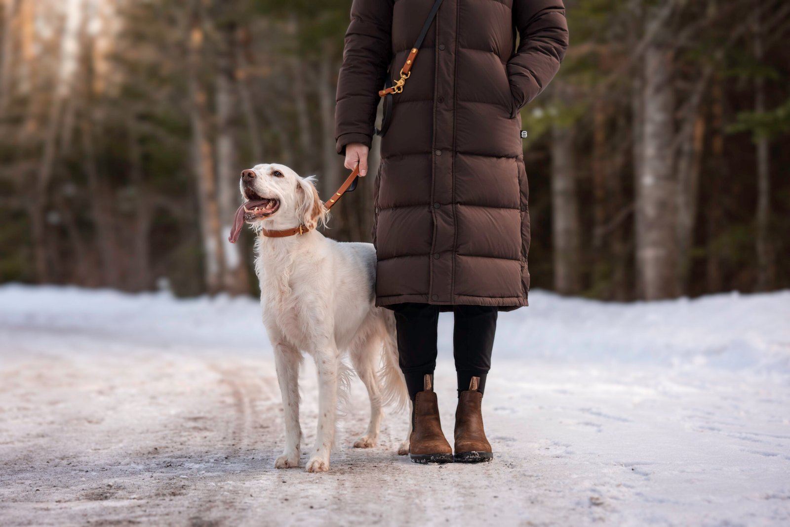 Multi-Fonction Leash - Image 3