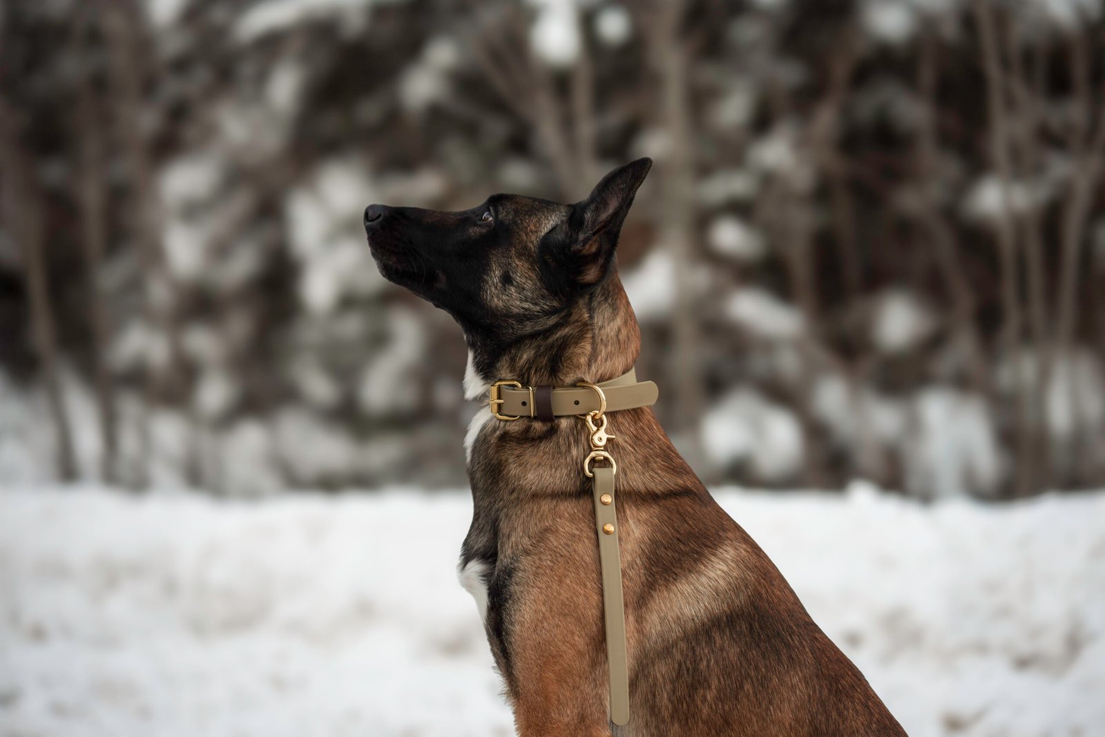 Control Tab - Image 3