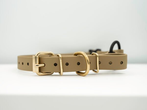 Track & Train Strap
