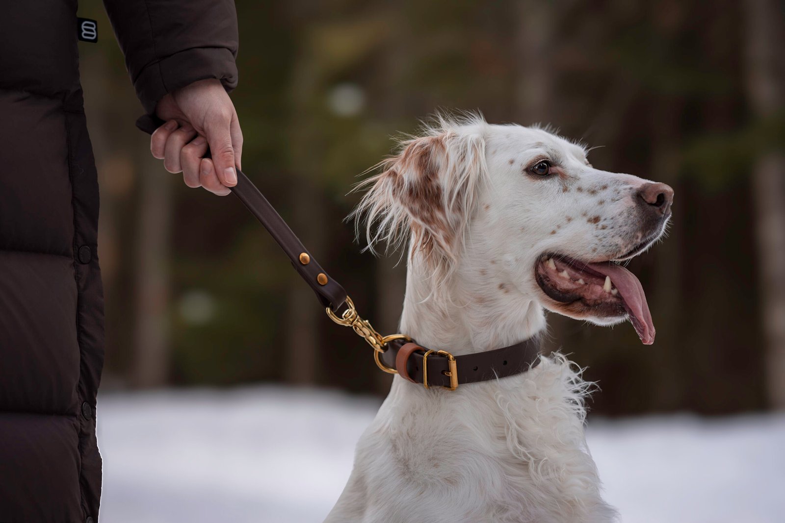 Control Tab - Image 2