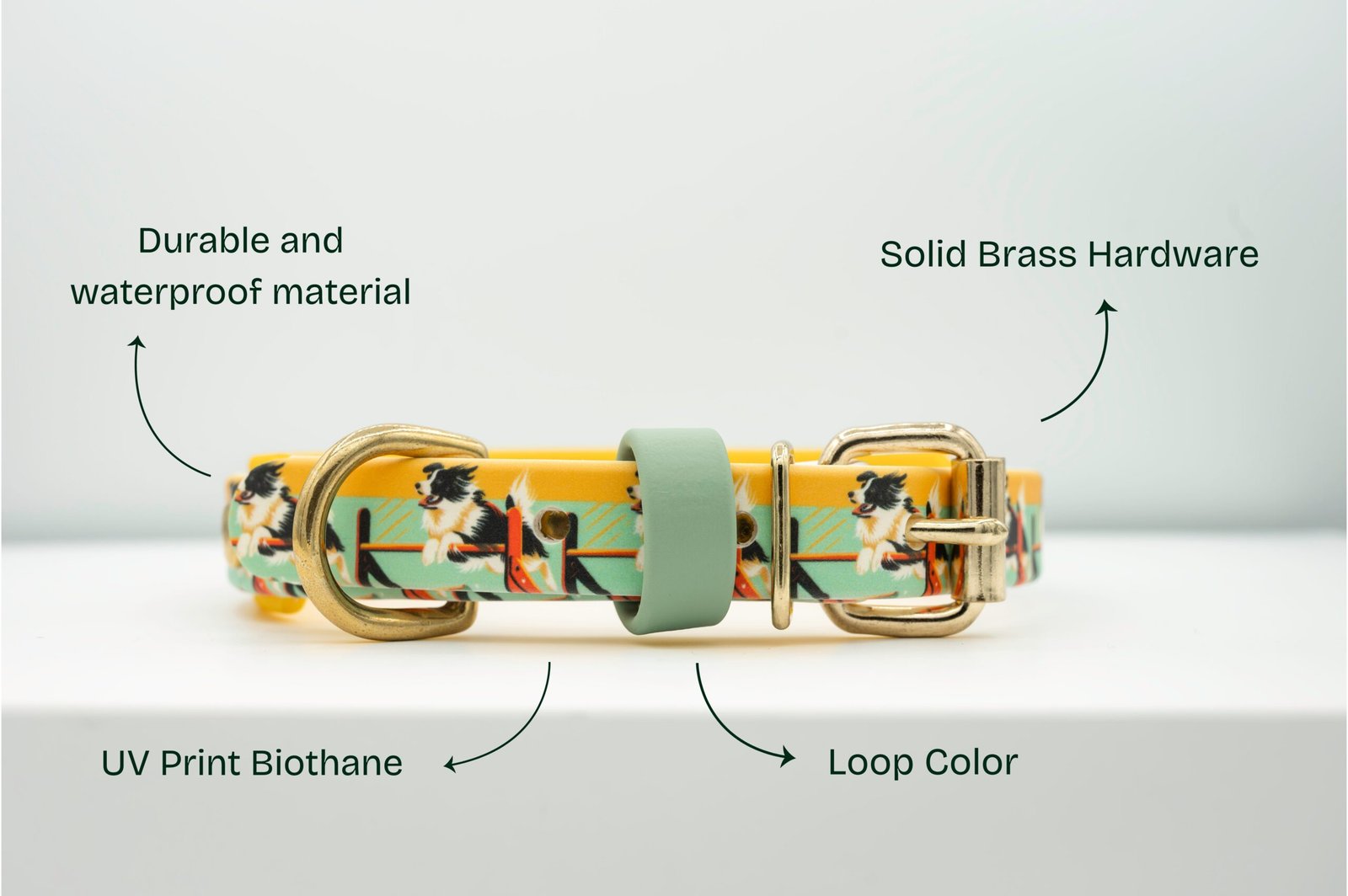 Agility UV Printed Collar (Double Layer) - Image 2