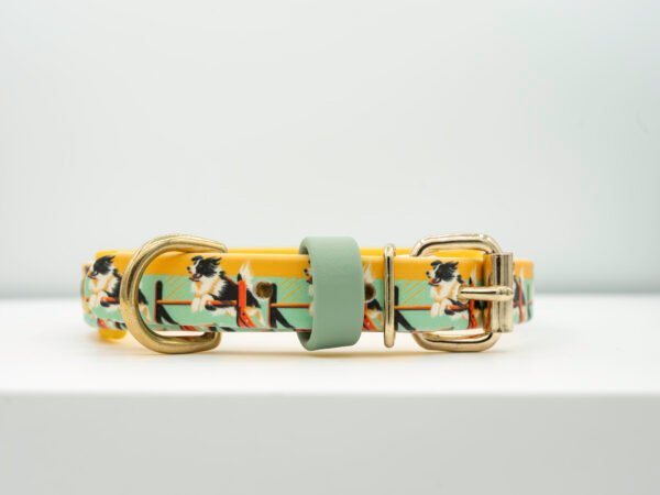 Agility UV Printed Collar (Double Layer)