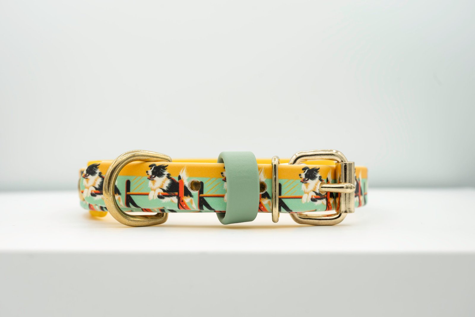 Agility UV Printed Collar (Double Layer)